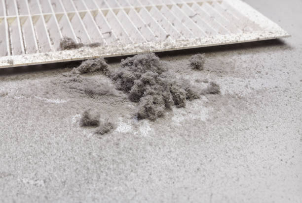 Best Affordable Air Duct Cleaning  in Carrier Mls, IL