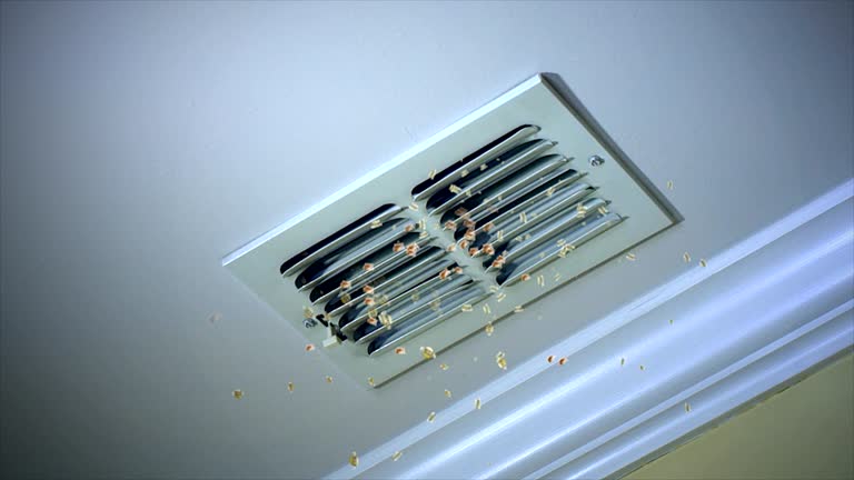 HVAC Maintenance and Cleaning in IL