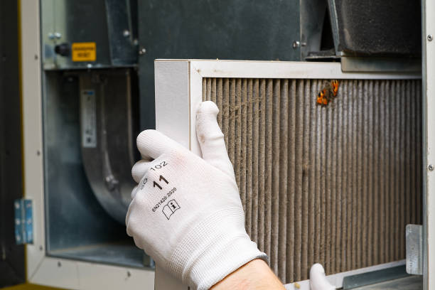 Best Affordable Duct Cleaning Services  in Carrier Mls, IL